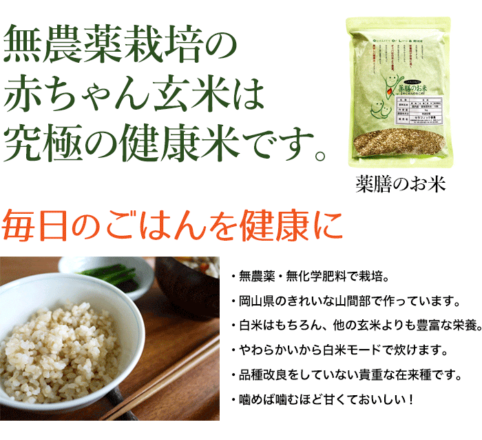 玄米1