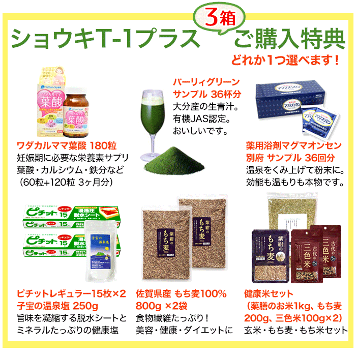 タンポポ茶 ショウキT－1プラス 90袋 (30袋×3箱) 送料無料 特典付